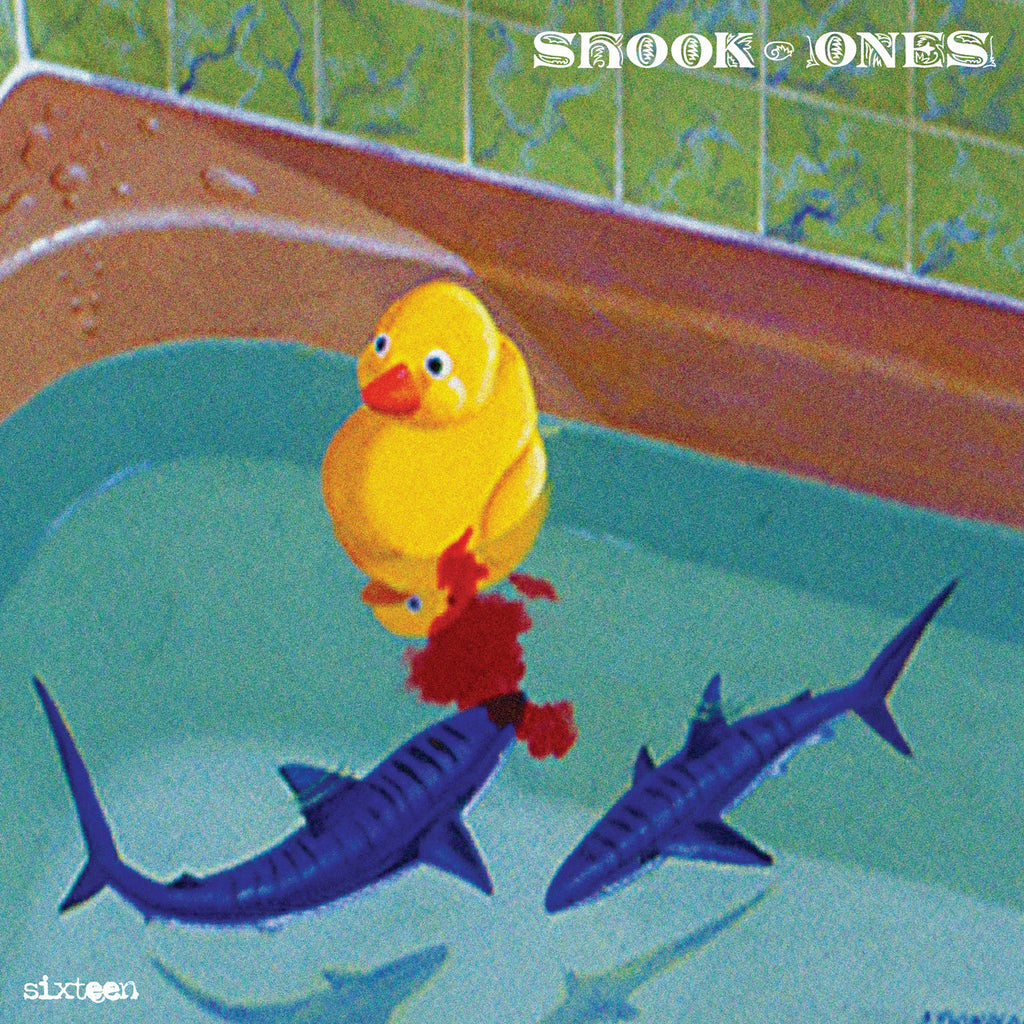 Clean front cover — Shook Ones — Sixteen