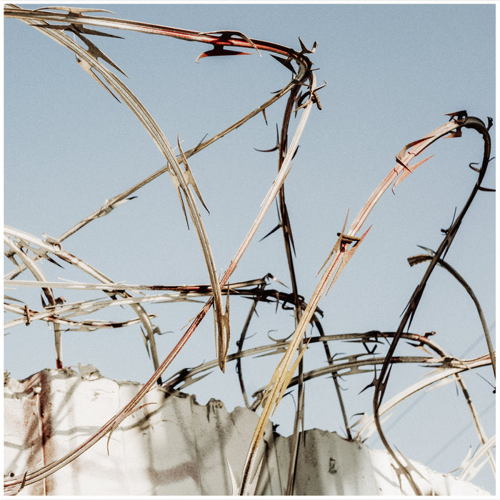 Big Takeover — Madhouse (Vinyl) — cover artwork