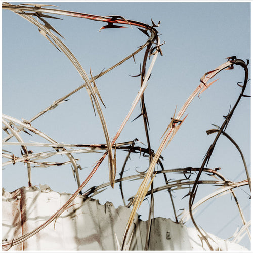 Big Takeover — Madhouse (Vinyl) — cover artwork