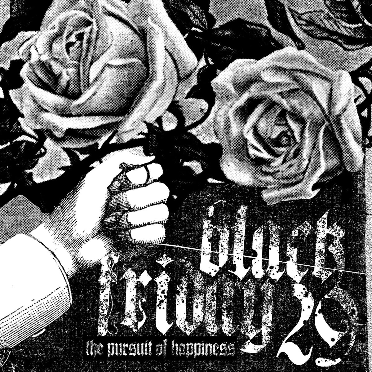 Black Friday '29 — The Pursuit of Happiness (Used LP) — reference cover artwork