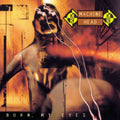 Machine Head — Burn My Eyes album cover