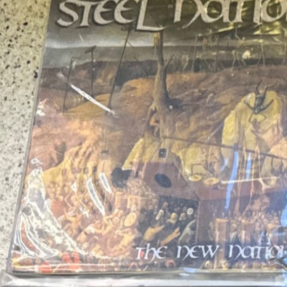 Actual sleeve: Steel Nation — The New Nation 7-inch