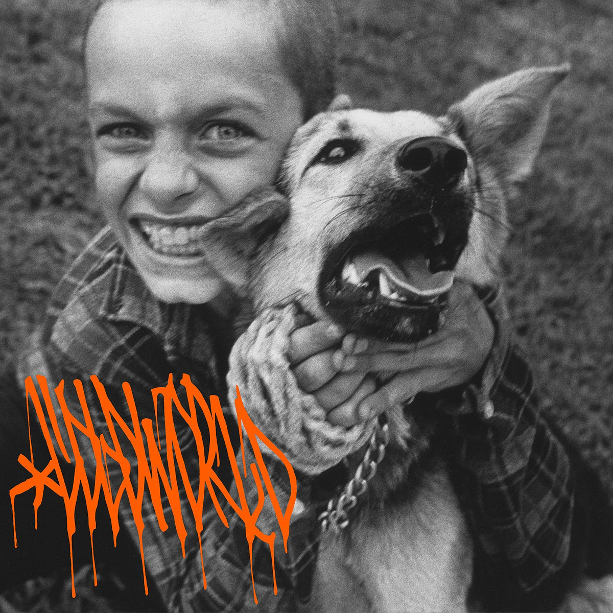 Cold World — Dedicated to Babies Who Came Feet First (Used LP) — reference cover artwork