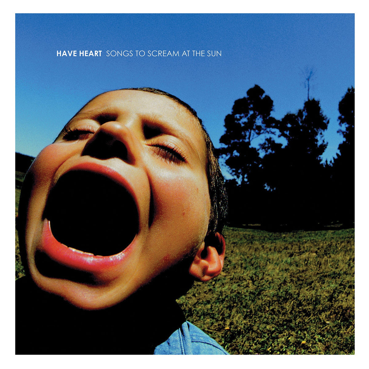 Have Heart — Songs to Scream at the Sun (Used LP) — reference cover artwork